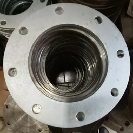 SS 310 Flanges
